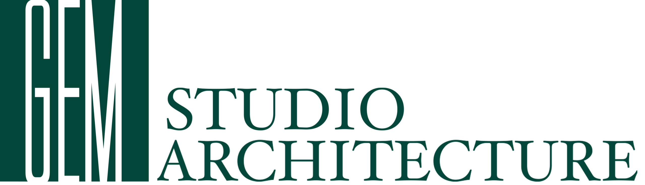 Website Logo